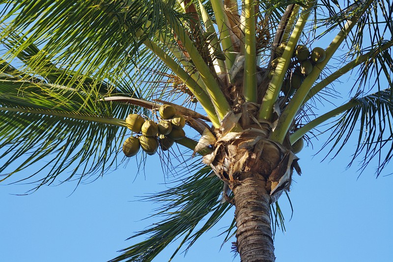 2009-11-06 22-02-59_2.jpg - Da sollte man besser nicht drunterstehen...